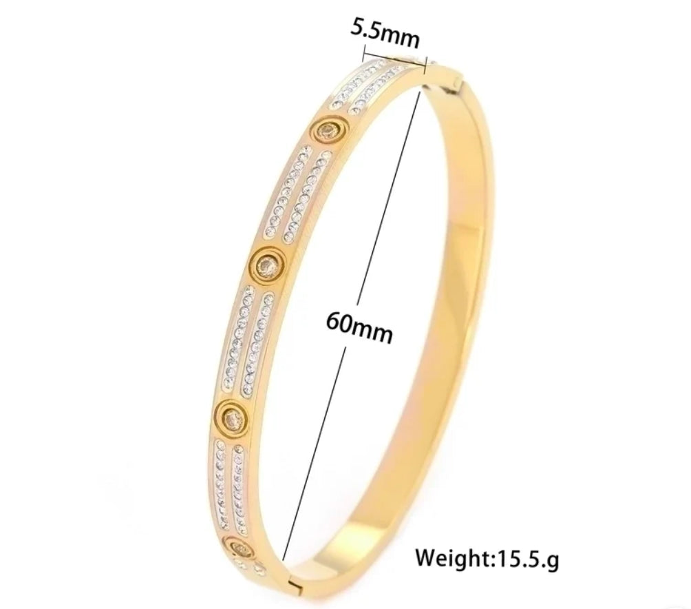 Cartier gem bangle (gold/sliver)